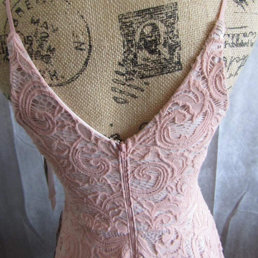 SS full blush pink lace w/nude underlay dress - Picture 5 of 6